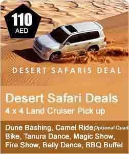 Morning desert safari